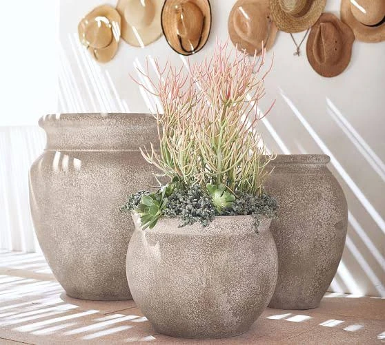 Garden & Outdoor